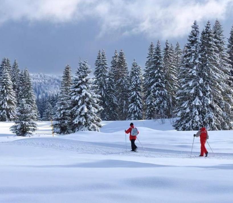 Gite Au Coeur Du Jura Entre Comte Et Vin Jaune, Gite Vin Jaune Chamole 外观 照片